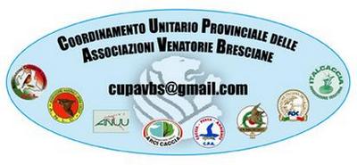 CUPAV Brescia